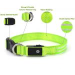 Sturdy Durable LED Dog Collar USB Rechargeable Customized 5 Sizes Option for sale