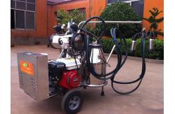 China Portable Food Grade SS Mobile Milking Machine With Gasoline Engine supplier