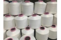 China Polyester DTY Yarn 150D/48F Semi-Dull Raw White supplier