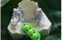 China Cr Co Partial Denture Metal Framework supplier