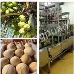Normal Temperature Coconut Water Extraction Machine 0.5-25T/H for sale
