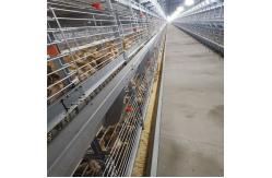China H Frame Battery Broiler Chicken Cage Hot Galvanized Steel Wire Mesh supplier