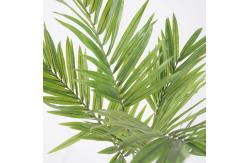 China SGS Natural Artificial Potted Floor Plants Kenita Palm Tree supplier