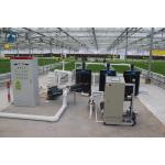 Agricultural Vertical NFT Hydroponic Lettuce Growing Systems Equipment In Greenhouse