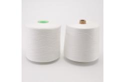 China High Strength Poly Poly Core Spun Thread TFO 22S/2 supplier
