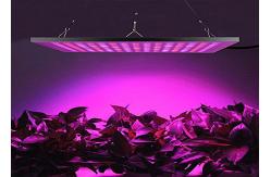 China Lightweight Energy Efficient Grow Lights Led Flowering Grow Lights 3 Years Warranty supplier