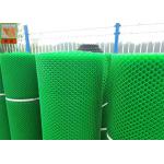 Farm House HDPE 50 Meters Length Chicken Coop Wire Netting for sale