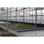 Greenhouse Galvanized Steel Rolling Grow Tables With Built In Drainage System for sale