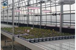 China Greenhouse Galvanized Steel Rolling Grow Tables With Built In Drainage System supplier