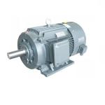 High Efficiency Permanent Magnet Synchronous Motor IP54 High Torque Density for sale