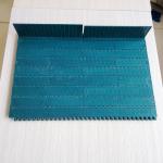                  1000 Series with Pitch 25.4mm Plastic Modular Belt for Food Industry              for sale