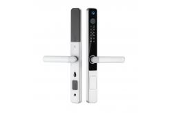 China Silver Camera Door Lock IP65 Advanced Intelligent Door Lock supplier