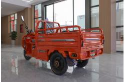 China Hot Sale  Scootre/3 Wheel Taxi With Side Seat supplier