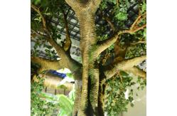 China Fiber Glass Trunk Artificial Landscape Trees Anti Fading For Patio supplier