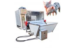 China pig dehairer and scalding machine pig dehairing machine pig hair dehairer supplier