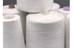 China Eco Friendly Ne 30S/2 100% Spun Polyester Hand Quilting Thread supplier