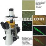 Laboratory Fluorescence Microscope