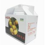 PP Corrugated Plastic Fruit And Vegetable Boxes Custom Reusable for sale