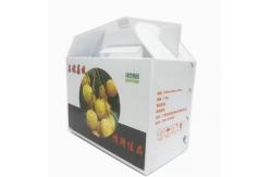 China PP Corrugated Plastic Fruit And Vegetable Boxes Custom Reusable supplier