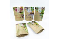 China Low Moq CMYK VMPET Biodegradable Stand Up Pouch 100micron supplier