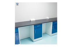 China Educational Institutions Modern Laboratory Wall Bench With Wall-mounted Structure supplier