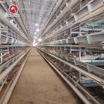 Q235 72 birds / set Layer Chicken Steel Cage With Full Automatic System for sale