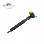 Common Rail Injector EMBR00002D A6510704987 for Meredes-Benz Engine