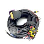 CNG LPG Sequential Injection 24 Pin Car Wiring Harness For 4 Cylinder ECU for sale