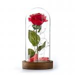 MDF Wood Base Borosilicate D12xH20cm Glass Dome Cloche for sale
