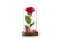 China MDF Wood Base Borosilicate D12xH20cm Glass Dome Cloche supplier