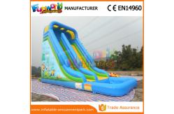 China Durable Minion Outdoor Inflatable Water Slides Inflatable Bouncer Slide With Pool supplier