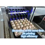 High Speed Egg Printing Machine With Various Colors Food Grade Ink Can Choose for sale