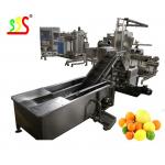 PLC Control Fruit Vegetable Drying Processing Line 1-5t/H Capacity for sale