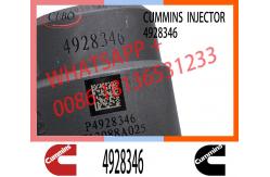 China 4928346 QSK23 Diesel Engine Common Rail Fuel Injector 4087887 4010163 3766446 4326781 supplier
