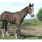 Anping TLWY 330 Ft Roll Fixed Knot Field Fence PVC Coated for sale