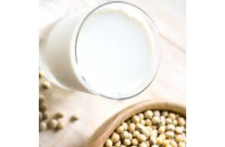 China SUS 316L Soybean Milk Dairy Processing Line Automatic Industrial supplier