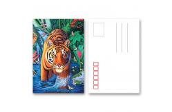China Tear - Proof 3D Animal Postcard Custom Tiger Design Printing Size 11x16cm supplier