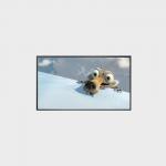 75 inch High Brirghtness LCD Display 3840*2160 V-by-One 3500nits for sale