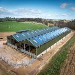 Easy Install Industrial Steel Sheds Customized Low Cost Steel Buildings for sale
