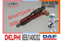 China Fuel Injector Assembly BEBJ1A05002 BEBJ1A00202 BEBJ1A05001 1905001 1846419 1905002 supplier