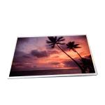 13.3 inch B133HAB01.0 HW4A LCD Screen Display Panel for sale