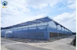 China Commercial Multi Span Plastic Agricultural Greenhouse With Polyethylene Cover supplier