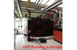 China Continuous 50Hz 100KW Natural Gas Generator supplier