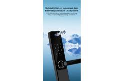 China 9 Language Electronic Door Locks Bluetooth Keyless Entry Door Lock supplier