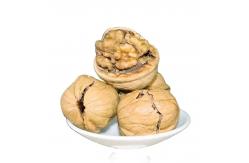 China China Fastest Shipping and Freshest Natural 185 Walnut kernel without shell supplier