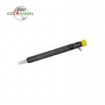 Common Rail Diesel Fuel Injector EJBR03701D 33800-4X800 for Delphi Engine
