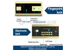 China Biometric Safe Home Safe Box Under Desk Safe Home Safe With Key supplier