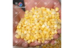China Industrial SS Corn Deseeding Machine ,  Husking Shucking Fruit Processing Equipment supplier