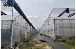 China Large PVC Hydroponic Growing Troughs Strawberry Growing Gutters Easy Installed supplier