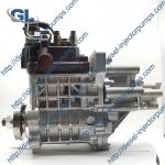 X7 Customized Yanmar Fuel Injection Pump 729927-51420 for sale